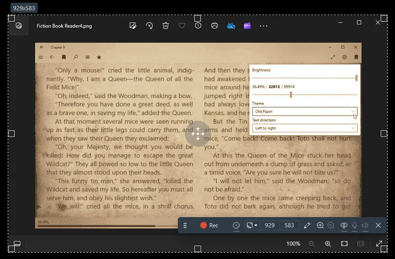 Icecream Screen Recorder 2